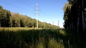 Огромная просека с ЛЭП. Июнь 2022