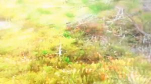 Жаровское озеро