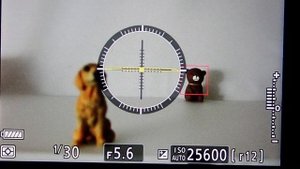 Nikon Z 7+NIKKOR Z 50mm F1.8 S AF test