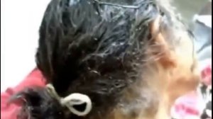 Самая вшивая голова / The most lousy head