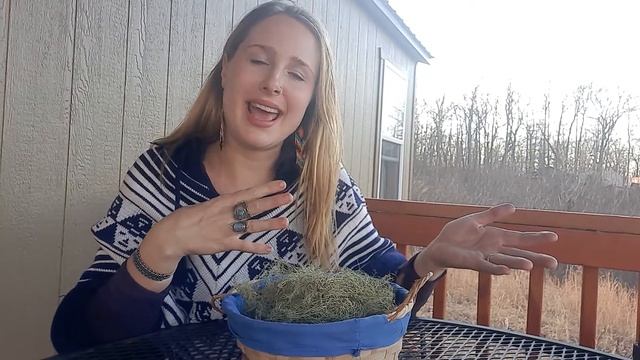 Let's chat about usnea aka old man's beard! смотреть онлайн