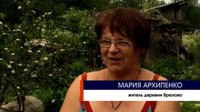 Трупы животных на ферме в Медвежьегорске смотреть онлайн