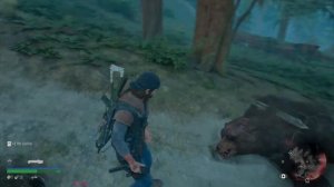 Days Gone Шатун и Громила vs 9 капканов и Электрошокера Неро Жизнь После  Rager Bear Breaker 9 Trap