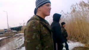 манычское кульстан