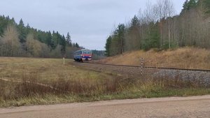 ДИЗЕЛЬ ПОЕЗД ДДБ1 НА ЛУЧЁСЕ, СООБЩЕНИЕМ ОРША-ВИТЕБСК