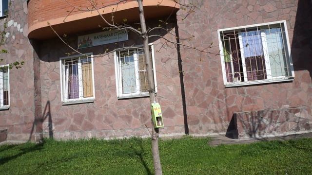 прокуратура спит, Красногорск, весна 2017, детсад, на окнах не распашные решетки смотреть онлайн