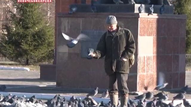 С какими добрыми делами ежедневно сталкиваются новочебоксарцы