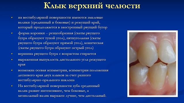 Косметическое контурирование. Эстетическая стоматология. Клиническая стоматология. 4 курс