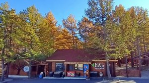 Магнитогорск, улица Лесопарковая, телецентр, Экологический парк (07.10.2021)