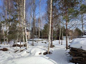 Великолепный участок 12 соток в п. Кратово, всего в 21 км от МКАД.