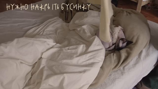 Будни в Москве ✷ нестабильная рутина смотреть онлайн