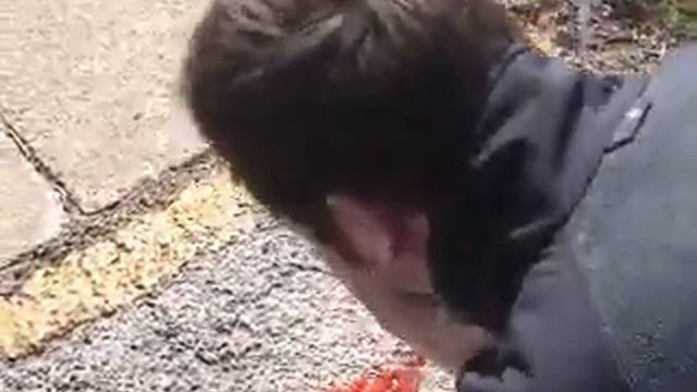 Gram Positive Part 2 KCOM Bug Videos смотреть онлайн