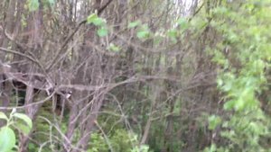 Хоббит отшельник оставил помойку