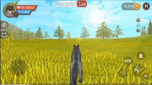 СИМУЛЯТОР МАЛЕНЬКОГО ПИТОМЦА #1 ВОЛЧАТА Симулятор Жизни Зверей про котят лис и собак #