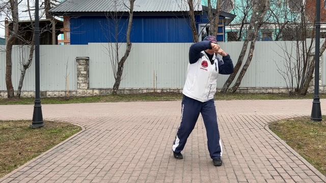Ицюань (844 день) Поддержка ежедневной практики / Ченбао Чжуан / Няо Нань Фей / Хэн Цюань