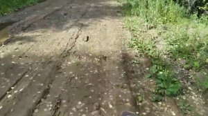 МИНСК ПРОТИВ ВОСХОДА