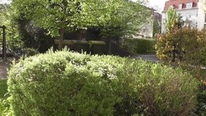Panasonic HDC-TM60 Camcorder Testvideo