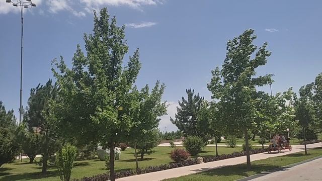 ок сарой кашкадарë