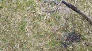 Как обжечь медные провода на костре. Какие потери и сколько можно заработать.