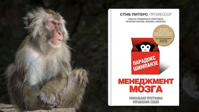 Почему люди становятся успешными или почему одни успешные а другие нет. Секреты успеха в жизни.