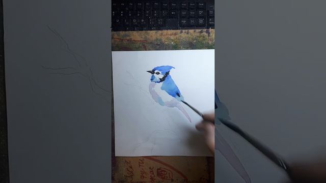 рисунок птички акварелью