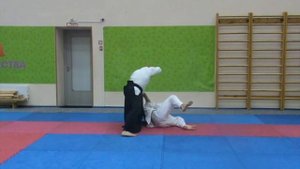 Показ техник Ойо вадза Дайто-рю Айкидзюдзютсу (大東流合気柔術)