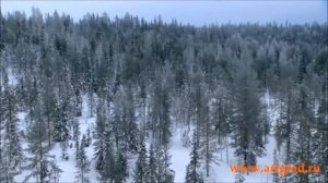 Тайна крещенской воды