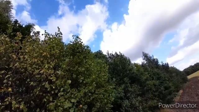 Лесные походы. Три орешка для Золушки.Осенний лес. смотреть онлайн