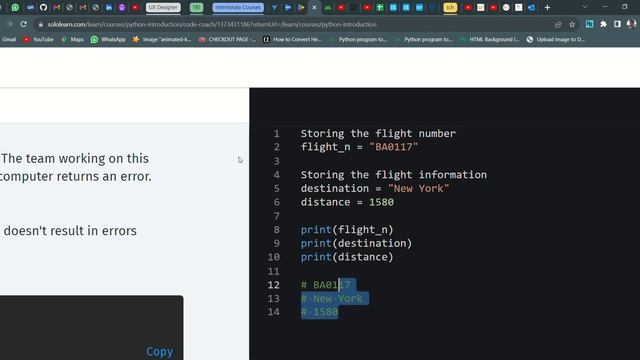 16 Flight Tracker | Introduction to Python | Sololearn