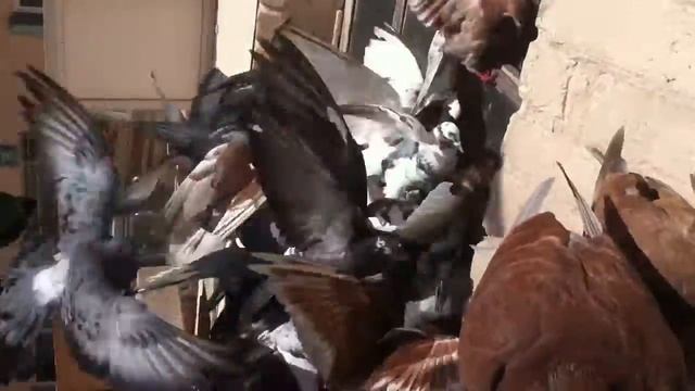 вышел покурить на балкон смотреть онлайн