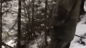 Горы Урала. Ветлан. Усьвинские столбы. Губаха. Полюд.