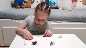 Как слепить собаку Хаски из пластилина