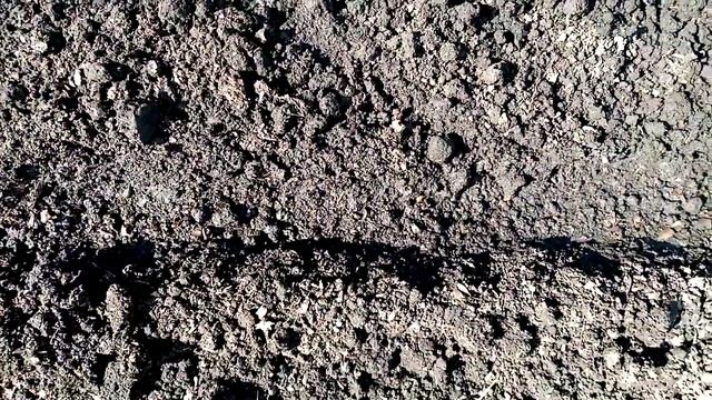 Огурчики "ЗЕЛЁНЫЙ КРОКОДИЛ" сею в Открытый Грунт. ПЧЁЛООПЫЛЯЕМЫЕ. Очень Вкусные. 2 июня 2022г. смотреть онлайн