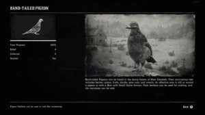Red Dead Redemption 2 - Band Tailed Pigeon & Rock Pigeon Location