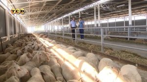 География 9 класс, §28 "Агропромышленный комплекс. Животноводство", Домогацких