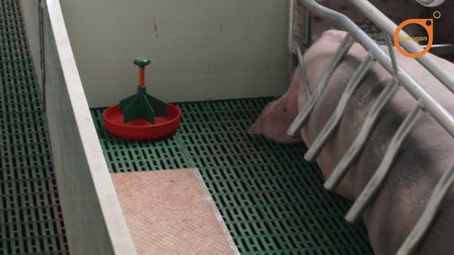 Решетки (Хозяйства) EUROGAN смотреть онлайн