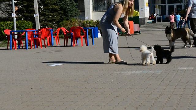 Маня и Жэка смотреть онлайн
