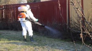 Акарицидная обработка участка в Ногинском районе