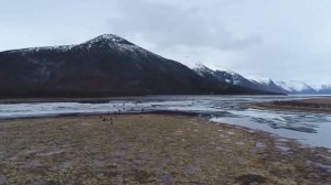 Весна на озере Орон (Витимский заповедник, 2020 г.)