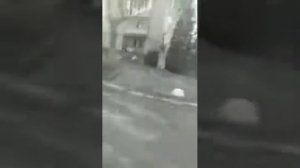 Марьинка - 24 марта 2022 года - что происходит в городе Марьинка?