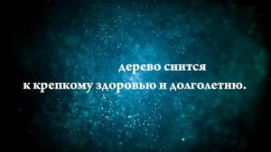 Что означают сны, связанные с мандаринами - положительные и отрицательные значения