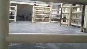 Ростовский-на-Дону зоопарк3