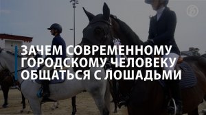 Зачем современному городскому человеку общаться с лошадьми