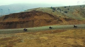 Бега рысаков иноходцев 2021 дерби Тлярата