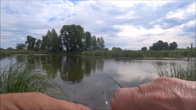 ХЕРАБУНА СОТНЯ КАРАСЕЙ НА НОВУЮ УДОЧКУ "ХайЗан II" 4.5м от Старого Шамана смотреть онлайн