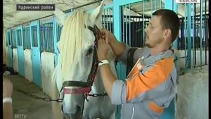 В Ядринском районе прошли Всероссийские конные бега