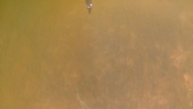 подводная охота Десногорское водохранилище 09032019 смотреть онлайн