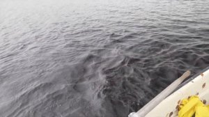 ЩУКА НА УТЁНКА поздней осенью . Ловля щуки на поверхностные приманки осенью.