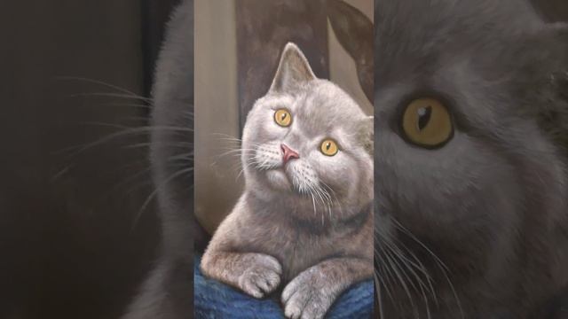 Картина маслом на холсте Кошка (Кот) - Oil painting on canvas Cat