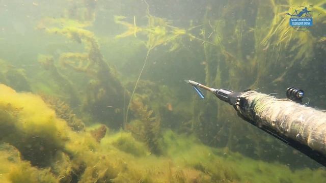 База Дельта, озеро Балхаш SUP, подводная охота часть 2 смотреть онлайн